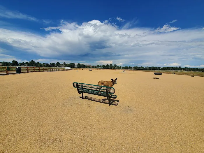 Aisik's Meadow Dog Park 2