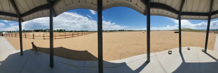 Aisik's Meadow Dog Park 1