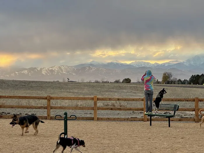 Aisik's Meadow Dog Park 7
