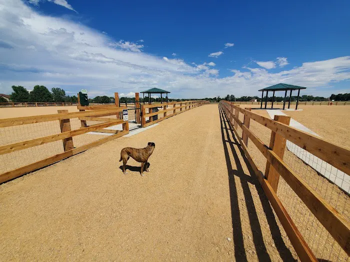 Aisik's Meadow Dog Park 5