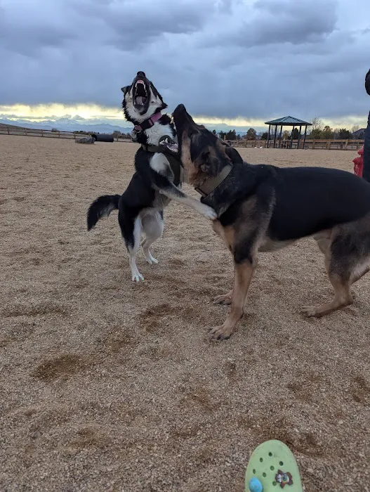 Aisik's Meadow Dog Park 10