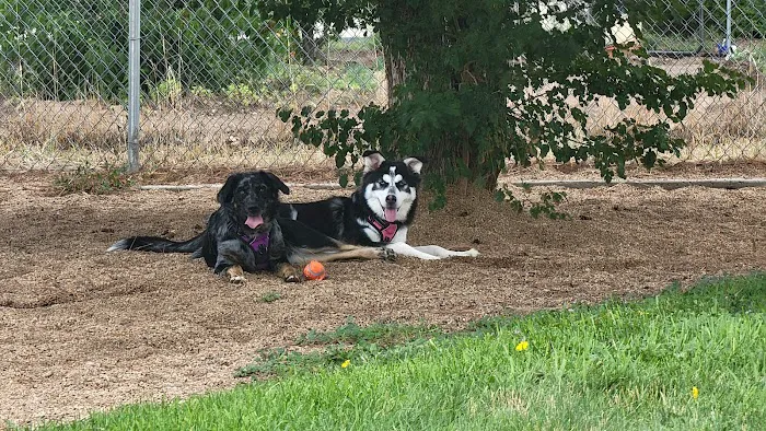 Platteville Dog Park 1