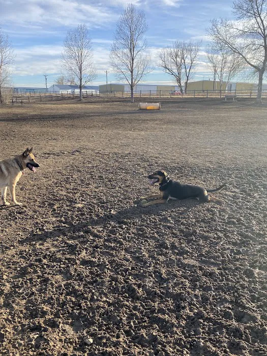 City of Longmont Dog Park #2 10