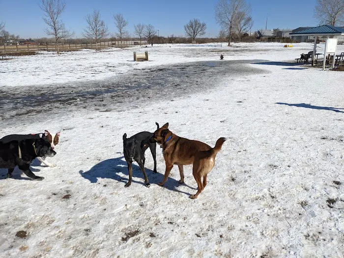 City of Longmont Dog Park #2 9