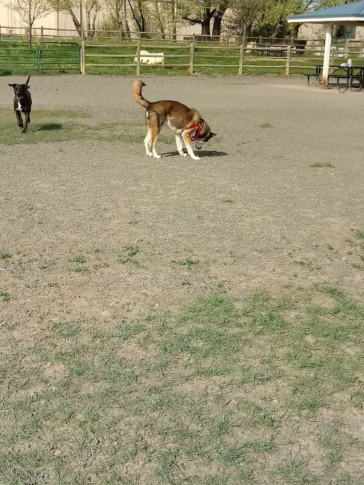 City of Longmont Dog Park #2 6