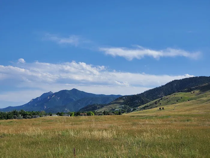 Foothills Off-Leash Dog Park 1