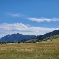 Foothills Off-Leash Dog Park ico