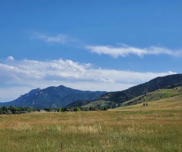 Foothills Off-Leash Dog Park