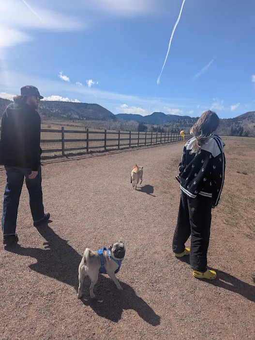 Lyons Dog Park 10