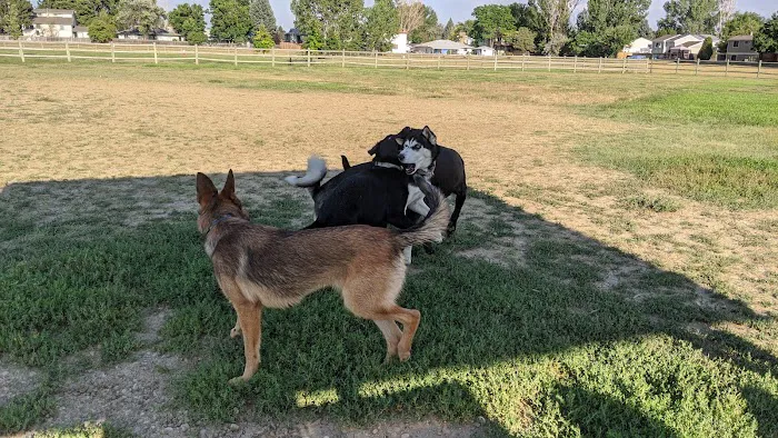 City of Longmont Dog Park #1 8