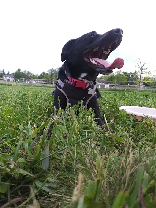 City of Longmont Dog Park #1 9
