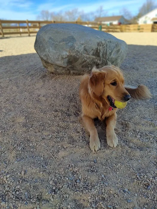 Berthoud Dog Park 8