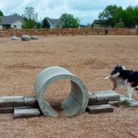 Berthoud Dog Park ico