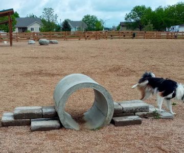 Berthoud Dog Park