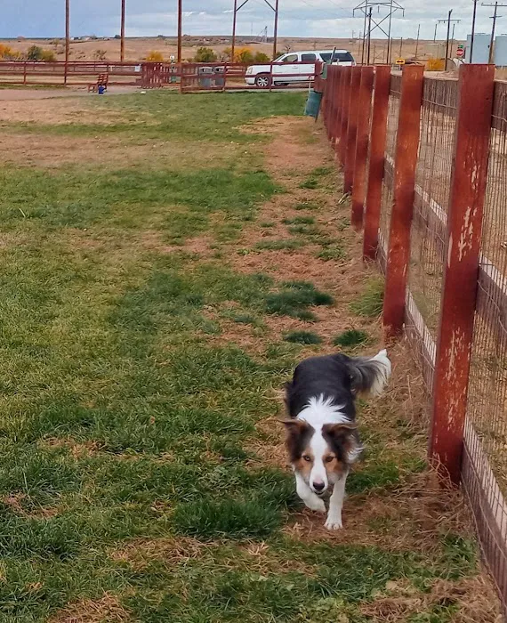 Milliken Dog Park 5