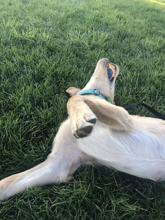 Milliken Dog Park 3