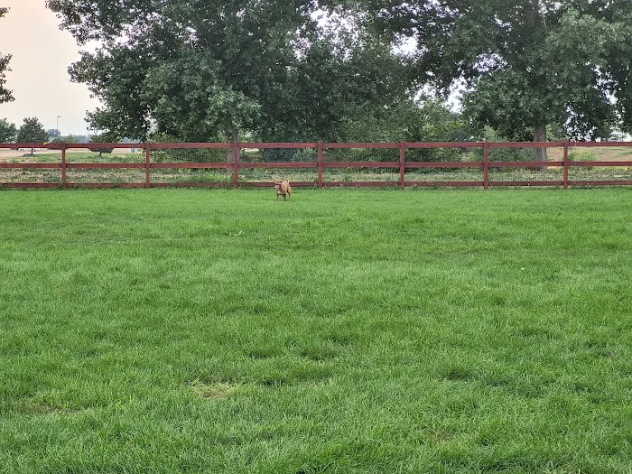 Milliken Dog Park 4