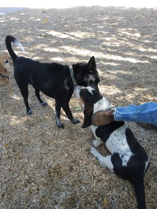 Dog Park at Fairgrounds Park 5
