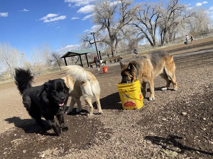 Dog Park at Fairgrounds Park 7