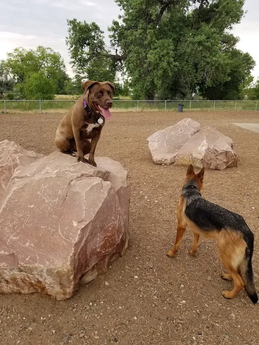 Dog Park at Fairgrounds Park 1