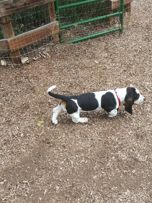 Dog Park at Fairgrounds Park 6