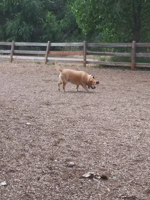 Dog Park at Fairgrounds Park 4