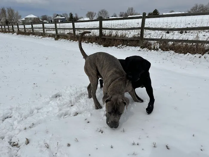 Dog Park at Fairgrounds Park 2