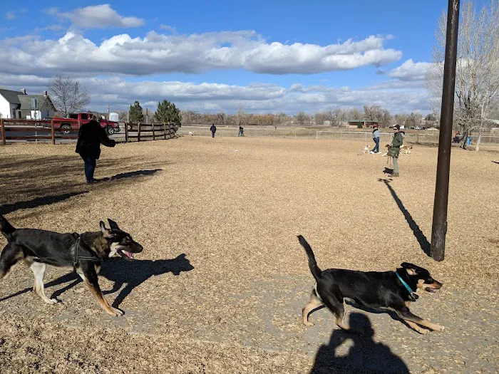 Dog Park at Fairgrounds Park 9
