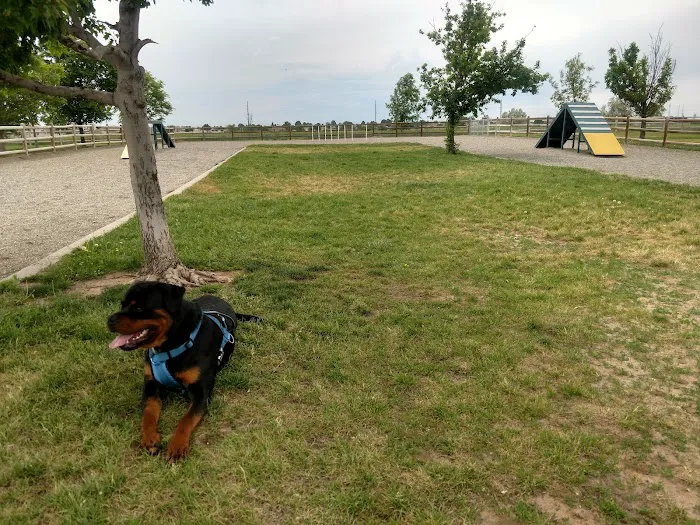 Freedom Park 5