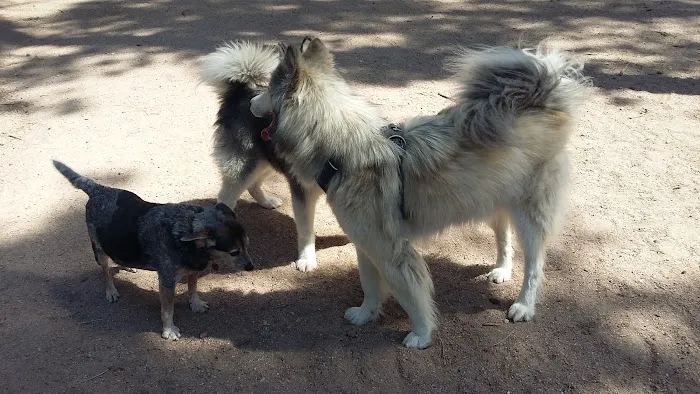 Fox Run Dog Park 3