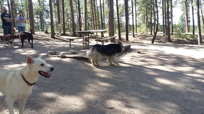 Fox Run Dog Park 1