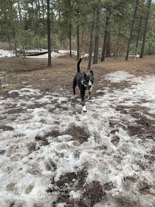 Fox Run Dog Park 8