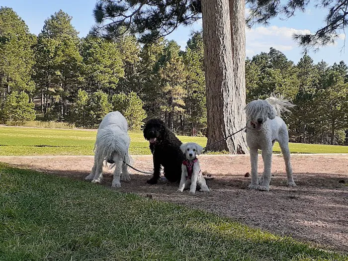 Fox Run Dog Park 9