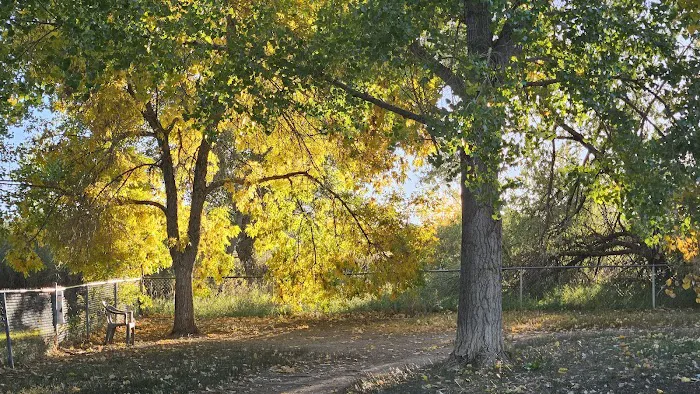Rampart Dog Park 6