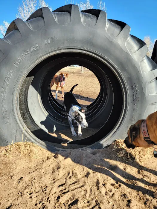 Rampart Dog Park 9