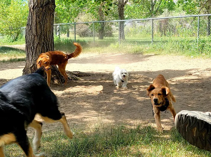 Rampart Dog Park 10