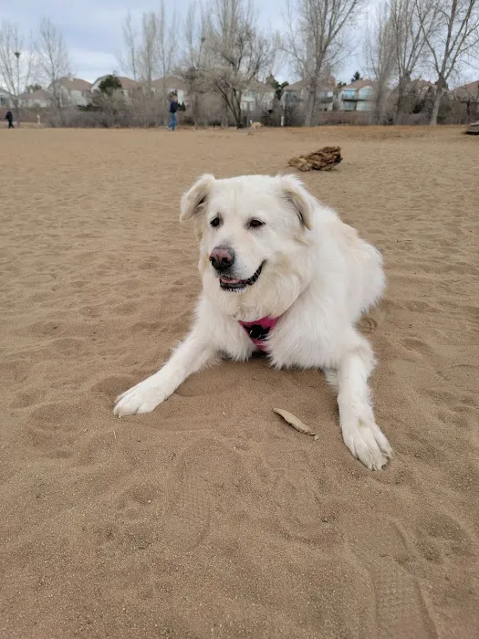 Rampart Dog Park 8