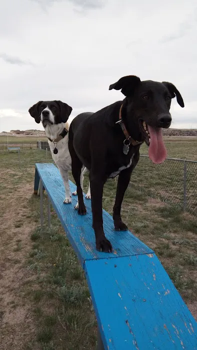 Wolf Ranch Dog Park 5