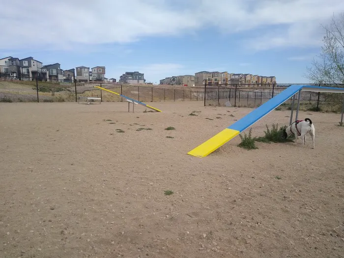Wolf Ranch Dog Park 10