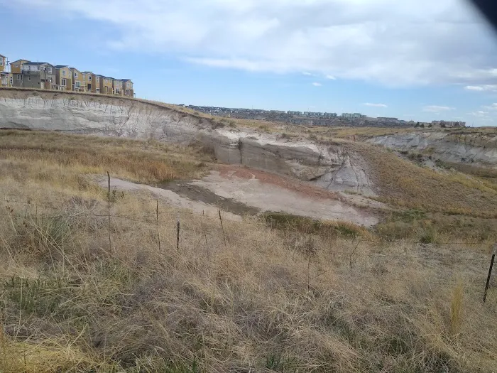 Wolf Ranch Dog Park 7