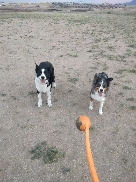 Wolf Ranch Dog Park 9