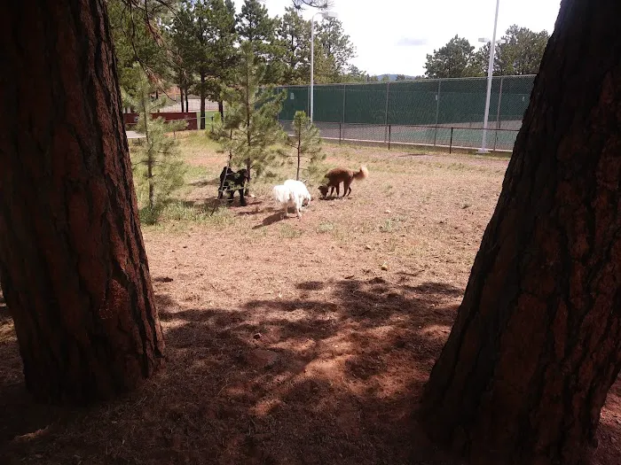 Golden Meadows Dog Park 2