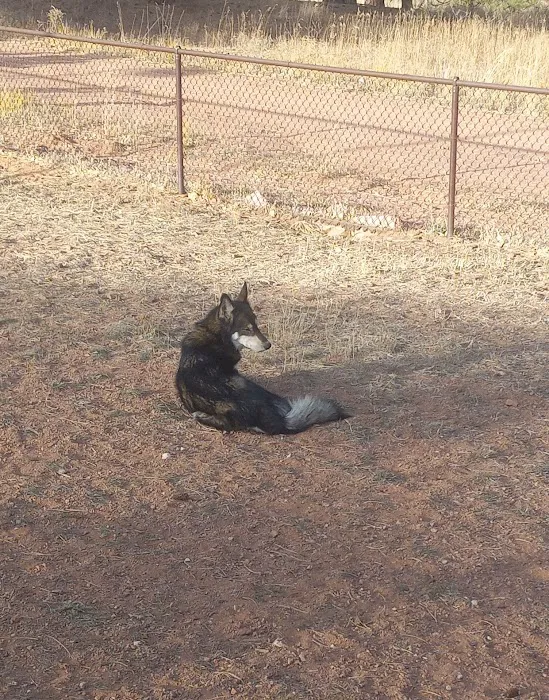 Golden Meadows Dog Park 7