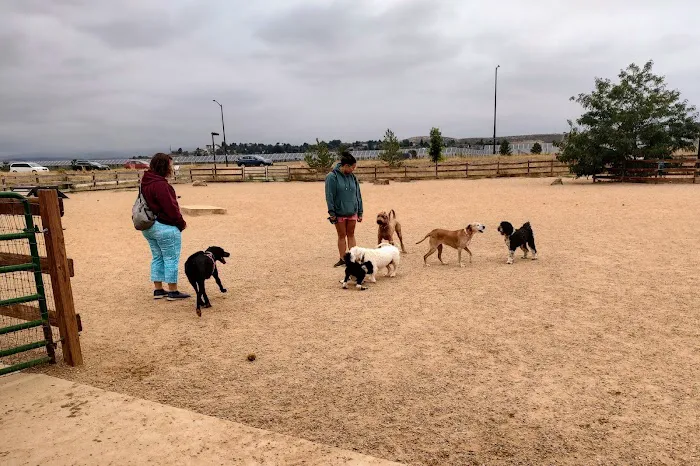 Mehaffey Park -Dog Park Area 4
