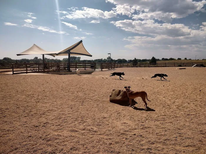 Mehaffey Park -Dog Park Area 5