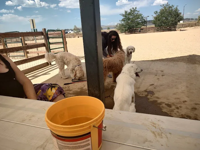 Mehaffey Park -Dog Park Area 3