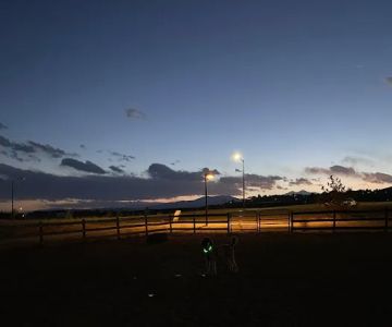 Mehaffey Park -Dog Park Area