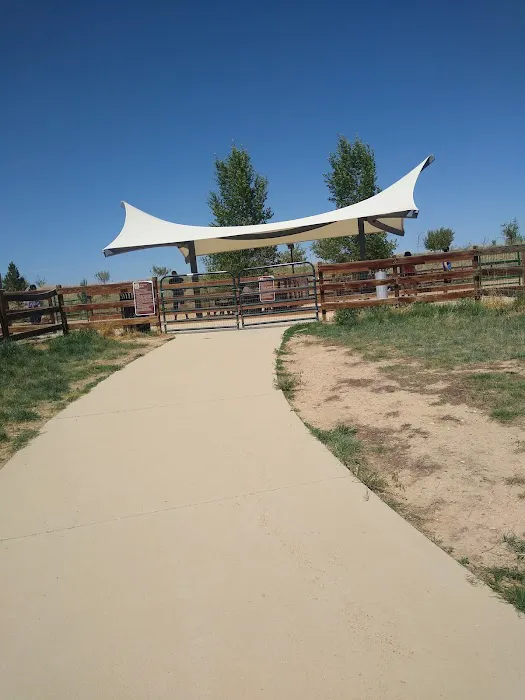 Mehaffey Park -Dog Park Area 10