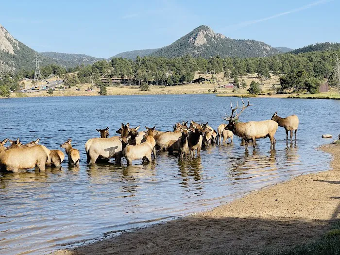 Estes Park Dog Park 3