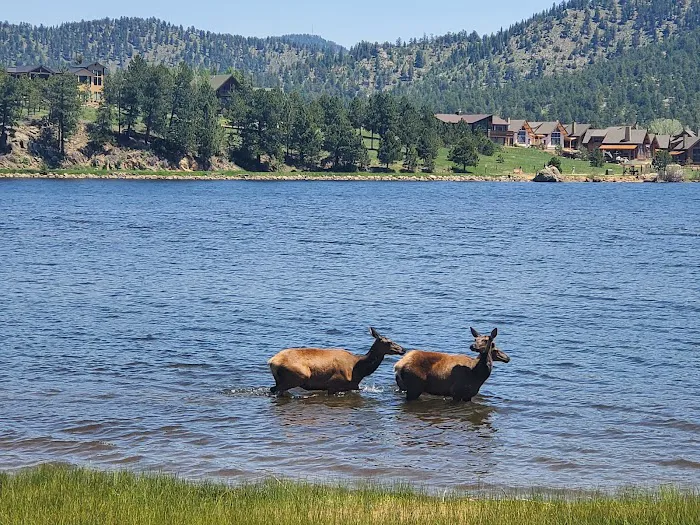 Estes Park Dog Park 5